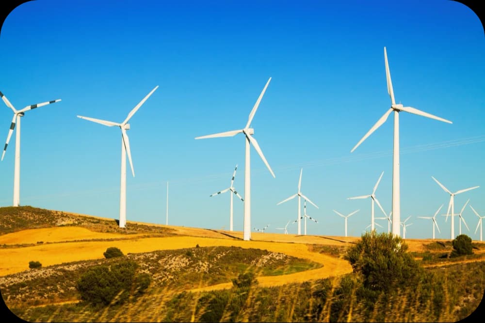 Renewable Energy Sector